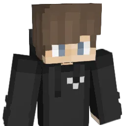 nsn_275 Minecraft avatar bust