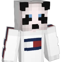 nthomas13 Minecraft avatar bust