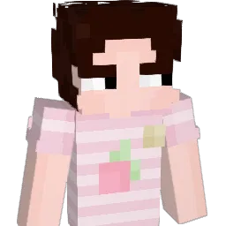 nty__ Minecraft avatar bust