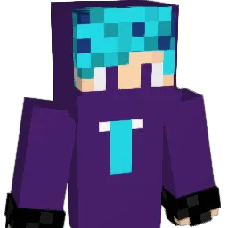 nubi_444 Minecraft avatar bust