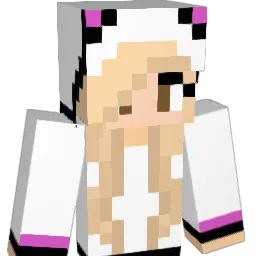 nuskis44 Minecraft avatar bust