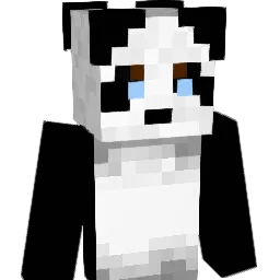nvtsa's Minecraft skin