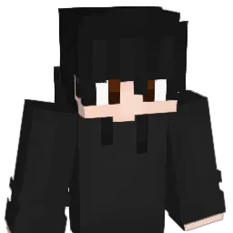 nwl0208 Minecraft avatar bust
