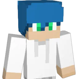 nwqpa12 Minecraft avatar bust