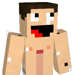 nxdrc Minecraft avatar bust