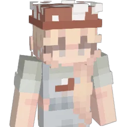 nxghtmxre2234 Minecraft avatar bust