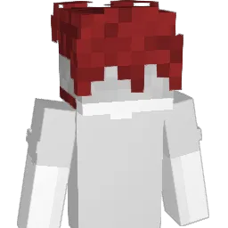 nxtdani0 Minecraft avatar bust