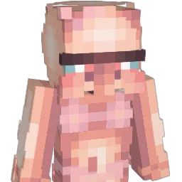 nxte3358 Minecraft avatar bust