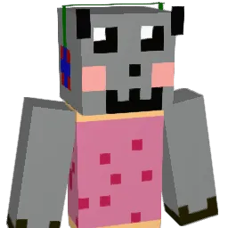 nyancat103 Minecraft avatar bust