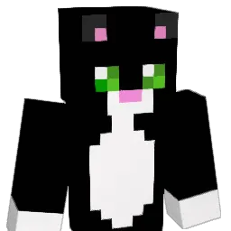 nyangi_ Minecraft avatar bust