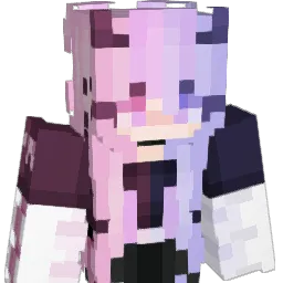nylan04's Minecraft skin