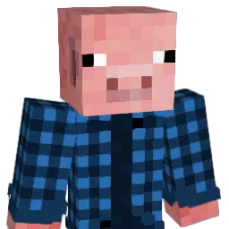 nymets3531 Minecraft avatar bust