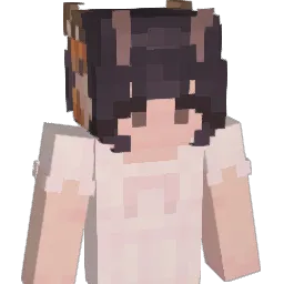 nymies Minecraft avatar bust