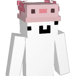 nyyyl Minecraft avatar bust