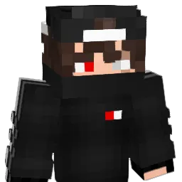 nznn1's Minecraft skin