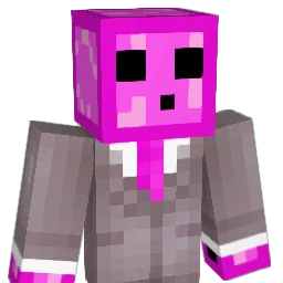 nzok Minecraft avatar bust