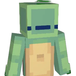 o0MrTurtle0o Minecraft avatar bust