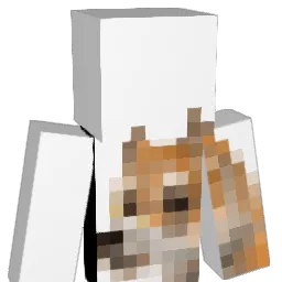 oChou's Minecraft skin