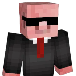 oOEchoeSOo Minecraft avatar bust
