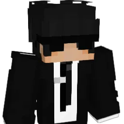 o_WING_o Minecraft avatar bust