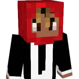 occDan Minecraft avatar bust