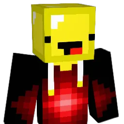 oef123 Minecraft avatar bust