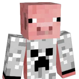 oinka100 Minecraft avatar bust
