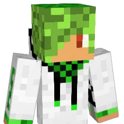 okecik Minecraft avatar bust