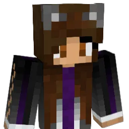 omlpublic12 Minecraft avatar bust