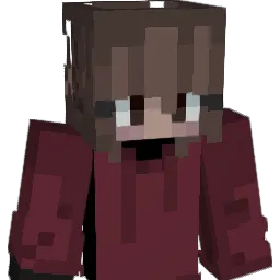 omniOi_ Minecraft avatar bust