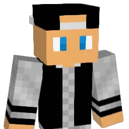 omri101 Minecraft avatar bust