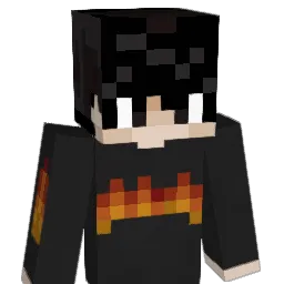 omwtfyblol Minecraft avatar bust