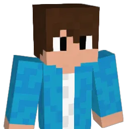 onbeschrijfelijk Minecraft avatar bust