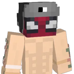 ooFFL_ Minecraft avatar bust