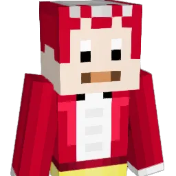oobae Minecraft avatar bust