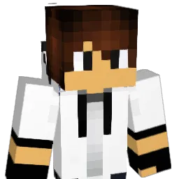 ooraiser123 Minecraft avatar bust
