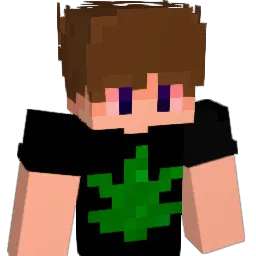 operatorowenn Minecraft avatar bust