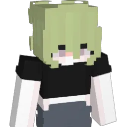 opiagitbasimdan Minecraft avatar bust