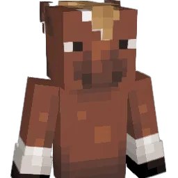 orionbingusman