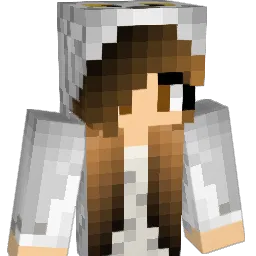owls1717 Minecraft avatar bust