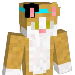 own221 Minecraft avatar bust