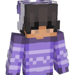 p011ux_ Minecraft avatar bust