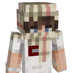 p0pa17 Minecraft avatar bust