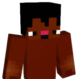 p4papi's Minecraft skin
