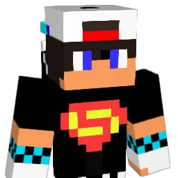 p4sd20 Minecraft avatar bust