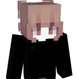 p5rc Minecraft avatar bust
