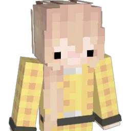 p6each Minecraft avatar bust