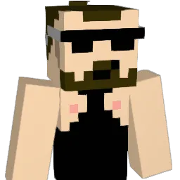 p_X3 Minecraft avatar bust