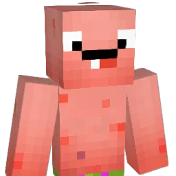 p_diddyty Minecraft avatar bust