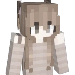 p_ql Minecraft avatar bust